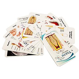 Blue Tree Publishing Dental charts (pocket)