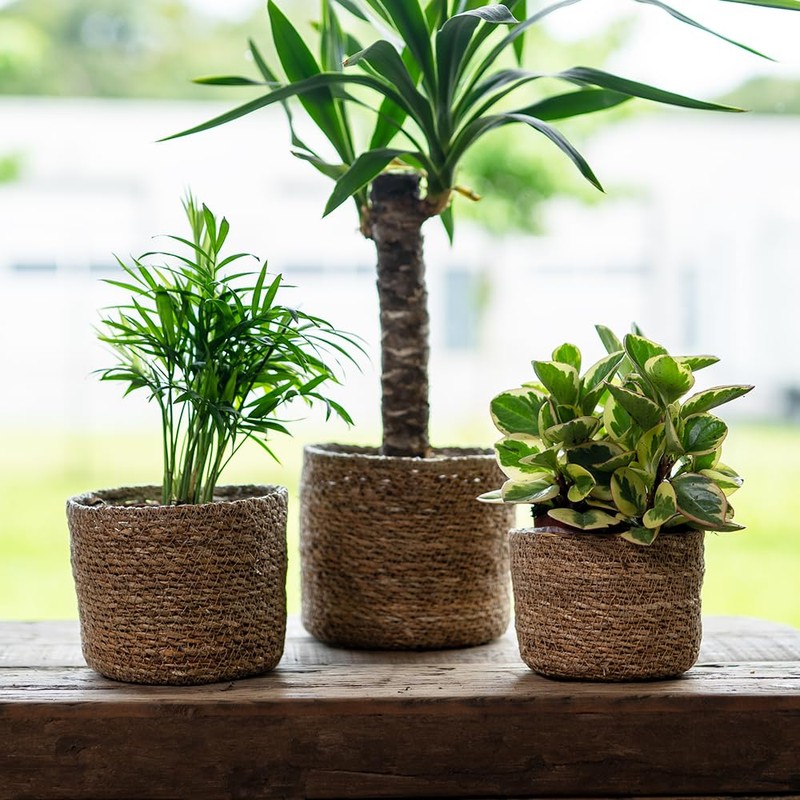 DARO DEKO Seagrass Basket Round Natural Diameter 21 x 18