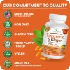 Nature's Branch Suplemento Cúrcuma Jengibre 90 Cápsulas