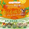Fresh Fresh Smoothie (Smoothie Replacement, Fasting, Dietary Fiber, Lactic Acid