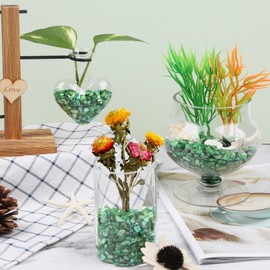 LUCKY BABY Crushed Shells for Crafts, Small Natural Crushed Seashells Pieces Chips, Sea Shells for Decorating Wedding Vase Fillers Beach Weddings Party Home Decor 21oz