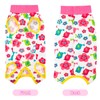 Dog Recovery Suit After Surgery, Surgery Recovery Jumpsuit for Female,