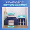 Astro 177-29 Duvet Storage Bag, 2-Piece Set, Single Size, Complete