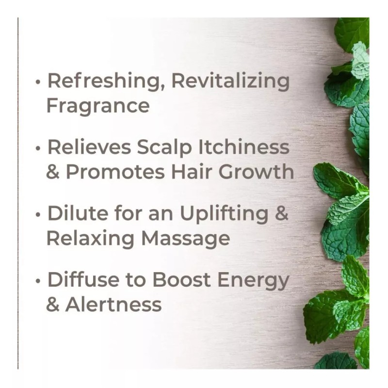 Plant Therapy Aceite Esencial De Menta 100 Ml