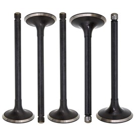 NICHE Engine Intake Exhaust Valve Kit for Yamaha Grizzly Raptor Rhino 660 660R