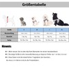 Dog Harness Set with Lead, Dog & Cat, Small Soft