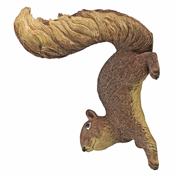 Design Toscano NG34034 Simone The Squirrel Woodland Decor Hanging Garden Statue, 8 Inch, Full Color