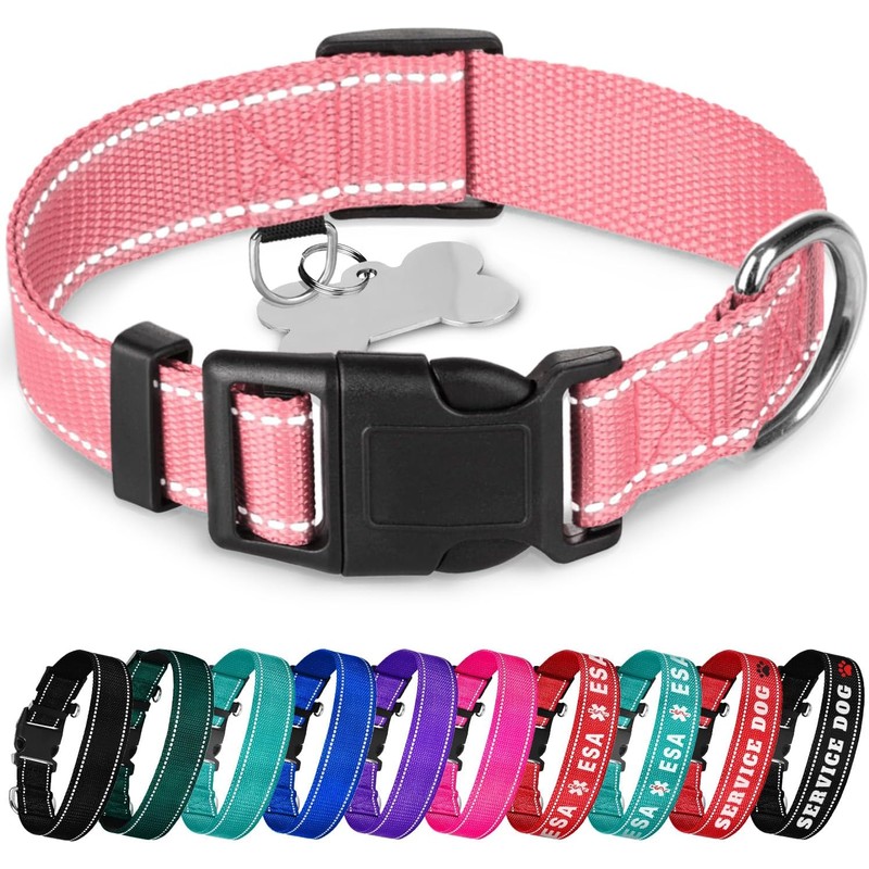 TECEUM - Collar para perro azul cielo - Collar para