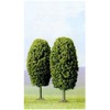 Ho 2 X 80mm Park Trees