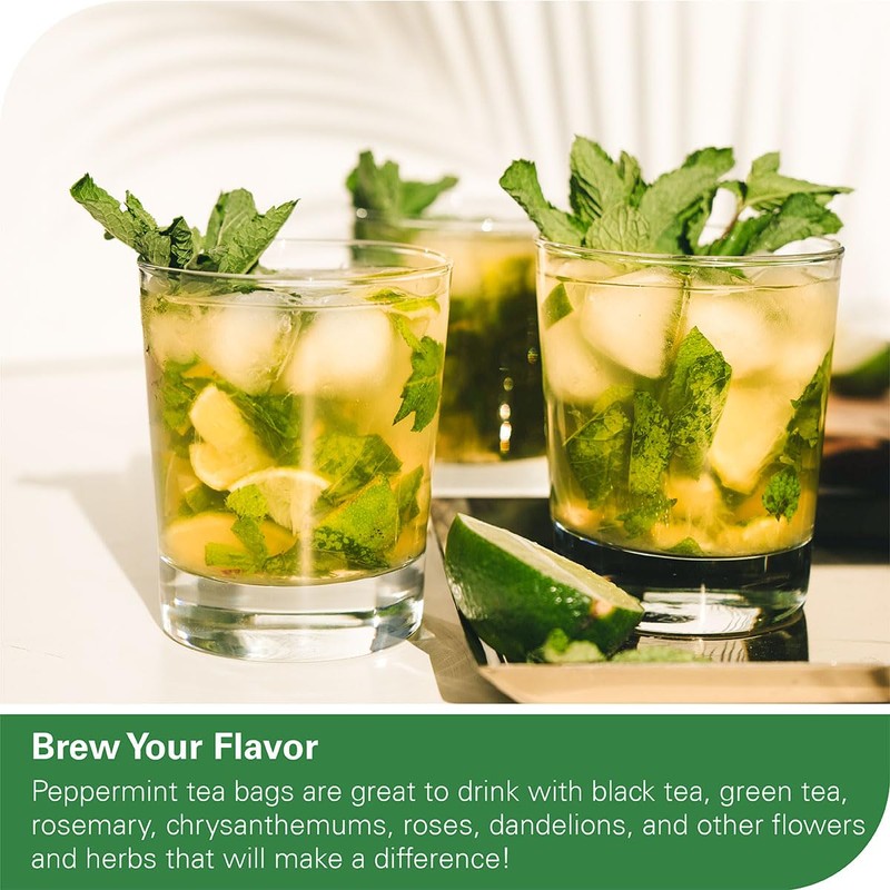WT WEETEE Peppermint Tea Bags, Made with 100% Pure Peppermint,