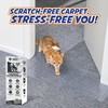 PANTHER ARMOR Cat Carpet Protector for Deep Pile Carpet, Stop