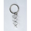 Anatomology DNA Helix Science Key chain