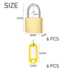 6 Pieces Mini Padlocks with 6 Pieces Coloured Key Plate,