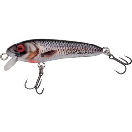Abu Garcia Svartzonker McCelly, Fishing Hook, Realistic Hand Painted Hard Lures with Strong Berkley Fusion Treble Hooks, Predator Fishing, Pike, Unisex, Real Roach, 9g | 70mm