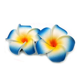 Teri's Boutique Hawaiian Hawaii Island Orchid Foam Flower Travel Trip Hair Clip Claw Pin (Blue)