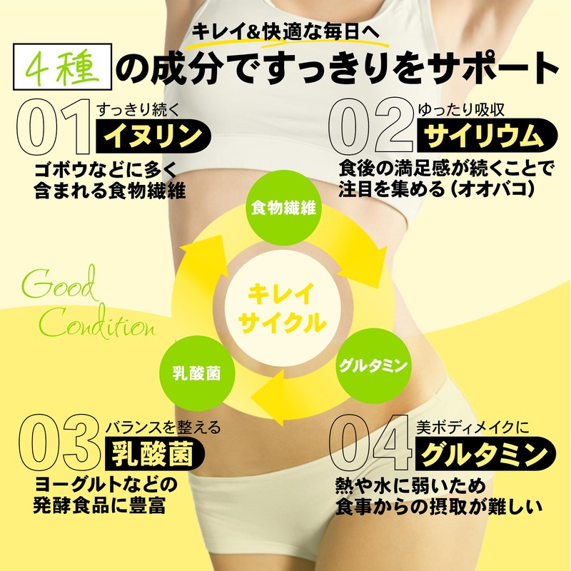 STEADY 完全栄養 プロテイン タンパク質24g ホエイ ソイ 食物繊維 750億の乳酸菌 コラーゲン ダイエット