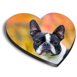 1 x Heart MDF Magnets - Cute Boston Terrier Puppy Dog 16611
