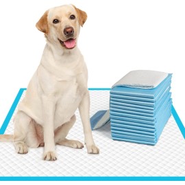 Dynarex Dog / Puppy Pet Housebreaking Pad, Pee Training Pads, Disposable, 17 x 24, 300ct
