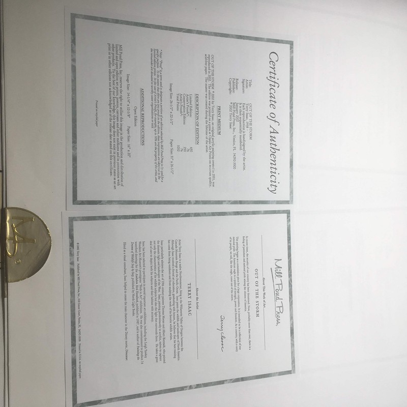 Limited Edition Print Out of The Storm-Eagle-Terry Isaac