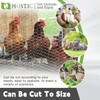 HOSTIC 4FTx150FT Chicken Wire Netting 2IN Mesh Galvanized Wire Hexagonal