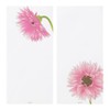 Midori 89584006 Single Pencil Notebook, Spring Letter, Silk Gerbera Pattern