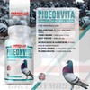 FARMALAB VITAMINA COMPLETA PARA PALOMAS PIGEONVITA VITAMINS 100 TABS FOR