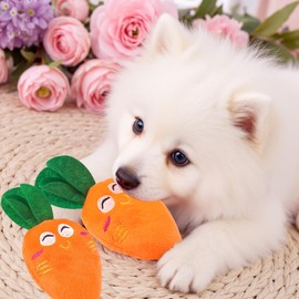 Carrot Squeaker Toys for Dog,2pcs Vegetable Shape Dog Chew Exercise Toy Soft Carrot Cat Pet Toy with Crinkle & Squeak Sound Cleaning Teething Relief for Puppy & Adult Dogs