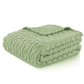 FY FIBER HOUSE Fleece Throw Blankets with 3D Pattern – Warm Super Soft Fluffy Cozy Decorative Blanket for Bed,Couch,Sofa,Camping,Travel(60"x80",Sage Green)