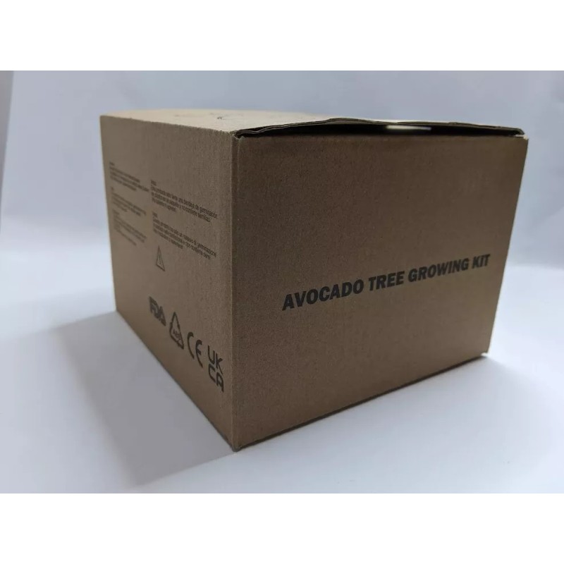 AvoSeedo Avocado Tree Growing Kit with seed pod base and