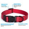 Mile High Life Dog Collar | Nylon Reflective Dog Collars