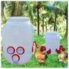 ZLMDK Rainproof Chicken Feeder and Chicken Waterer Set (13 Gallon/60