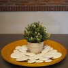 Kalapanta - Test Kit 12 Decorative Stones (10 Small, 2