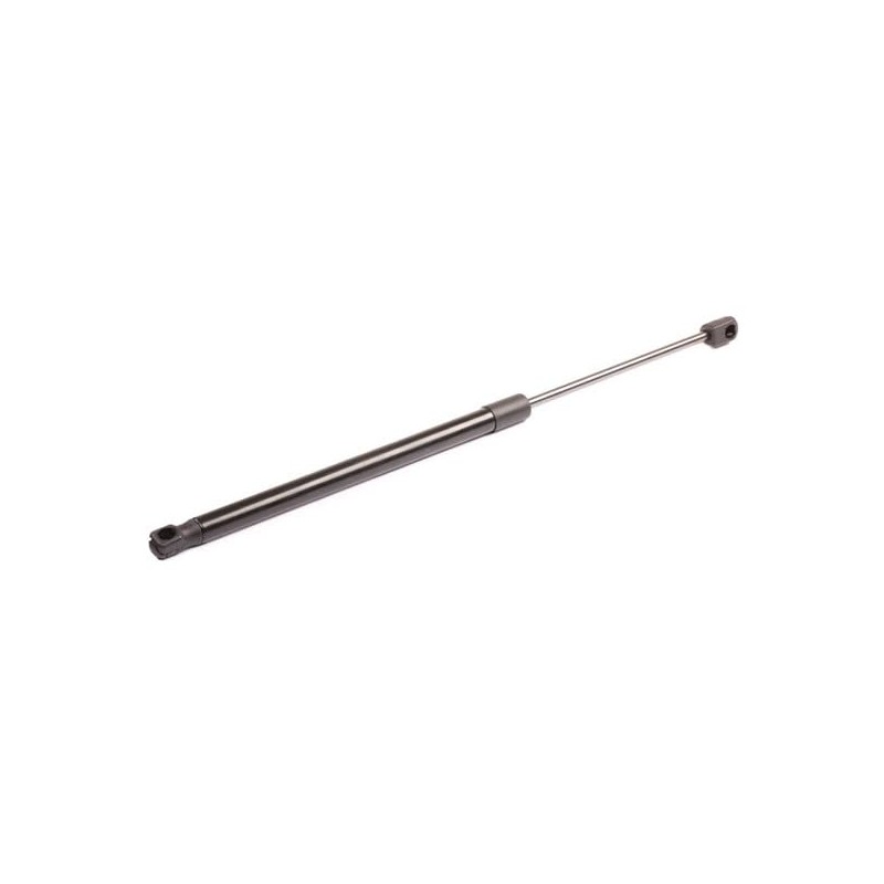 RIDEX Tailgate Damper 219G0611 Countryman (R60) 495 mm