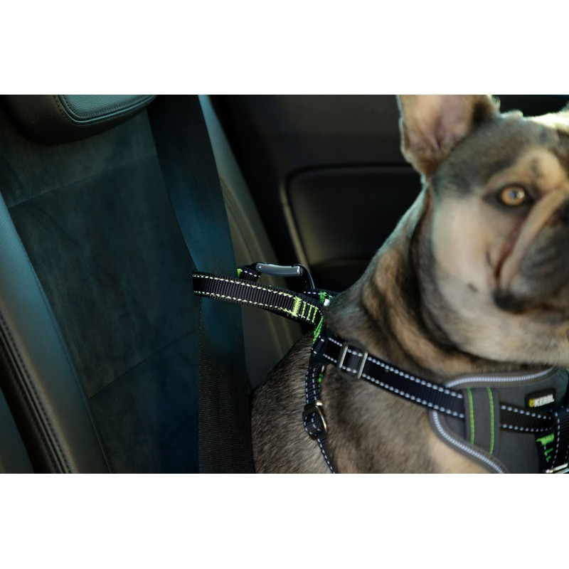 Car Safety Harness, Black, L 65-85 cm/25 mm
