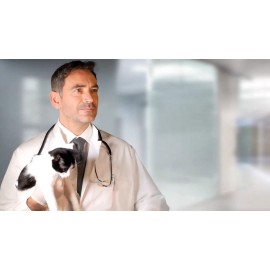 CONTEC VET Digital Blood Pressure Monitor BP monitor Veterinary sphygmomanomet