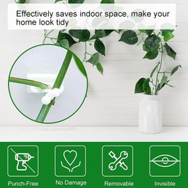 Accesorio de Pared para Trepar Plantas de 100 Piezas, Clip de Fijación de Enredaderas de Pared, Clip de Fijación de Accesorio de Rama Autoadhesivo, para Soportes de Cultivo para el Jardín(blanco)