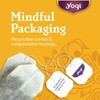 Yogi Tea Pure Green Tea - 16 Bags per Pack