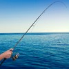 4 Piece Travel Spinning Fishing Rods Portable 4 Sections Lightweight