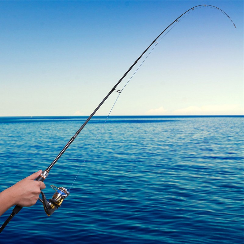 4 Piece Travel Spinning Fishing Rods Portable 4 Sections Lightweight