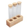Coffee Bean Jars Canisters Coffee Storage Containers with Solid Wood