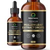 Mullein Leaf Extract Drops - Huge 100ml Bottle = 100