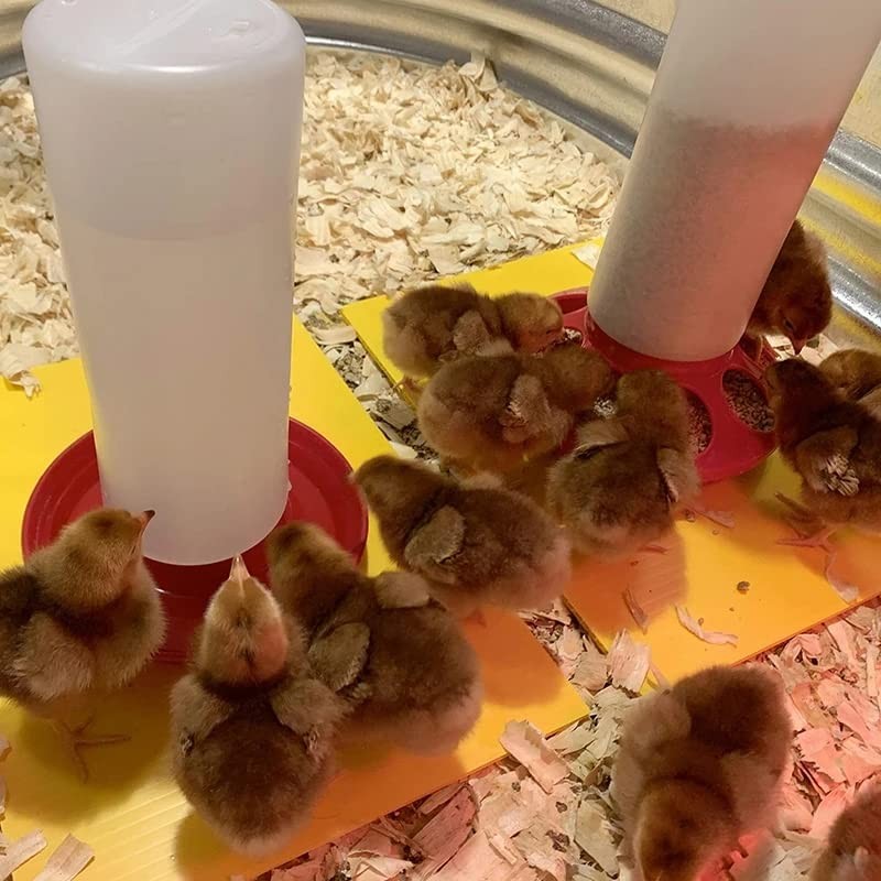 OUYOLAD Chicken Feeder Barrel Bird Drinking Poultry Diet Tool Quail