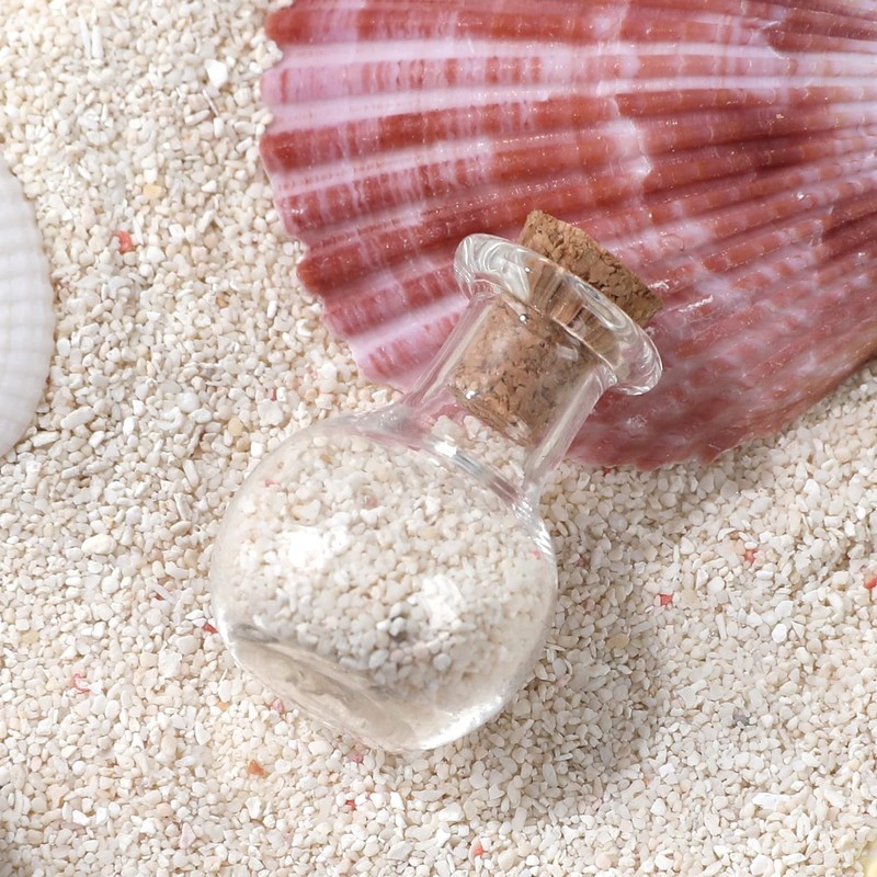 Magic Season Tiny Decorative Glass Bottles 12 Pcs (Tiny Flat-Bottomed