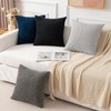 Kevin Textile Set of 2 Decorative Pillows Covers for Couch