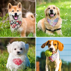 Vaburs Dog Collar and Dog Bandana, Pet Collar Fancy Dog Collar with Bandana for Small Medium and Large Dogs Adjustable(Xs-Black)