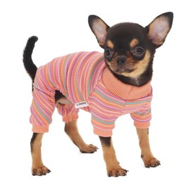 LOPHIPETS Dog Pajama Onesie for Small Dogs Teacup Chihuahua Yorkie Puppy Cat Clothes Apparel-Pink/XXS