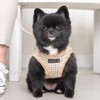 Puppia Dog Harness for small and medium dogs - SHEPHERD