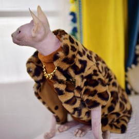 Cat Clothes Winter Warm Thickness Windproof Confortable Cat Apparel for Hairless Cats, Sphynx Cats, Devon Rex Cats, Cornish Cats, Small Cats and Dogs (Brown, XX-Large)