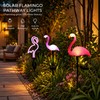 Solar Flamingo Garden Lights for Outdoor Pathway Decor – Waterproof