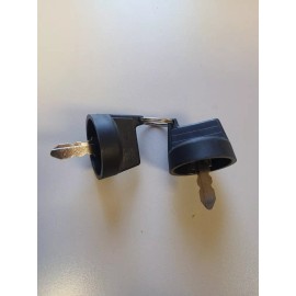 Mini Excavator Spare Key set for AGT Agrotk QH H12 LRT23 Skid Chinese Mini 1 ton